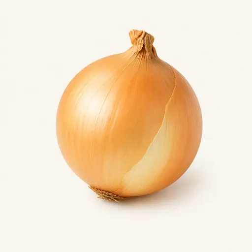 Oignon