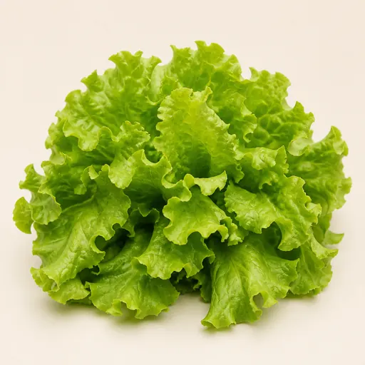 Salade romaine